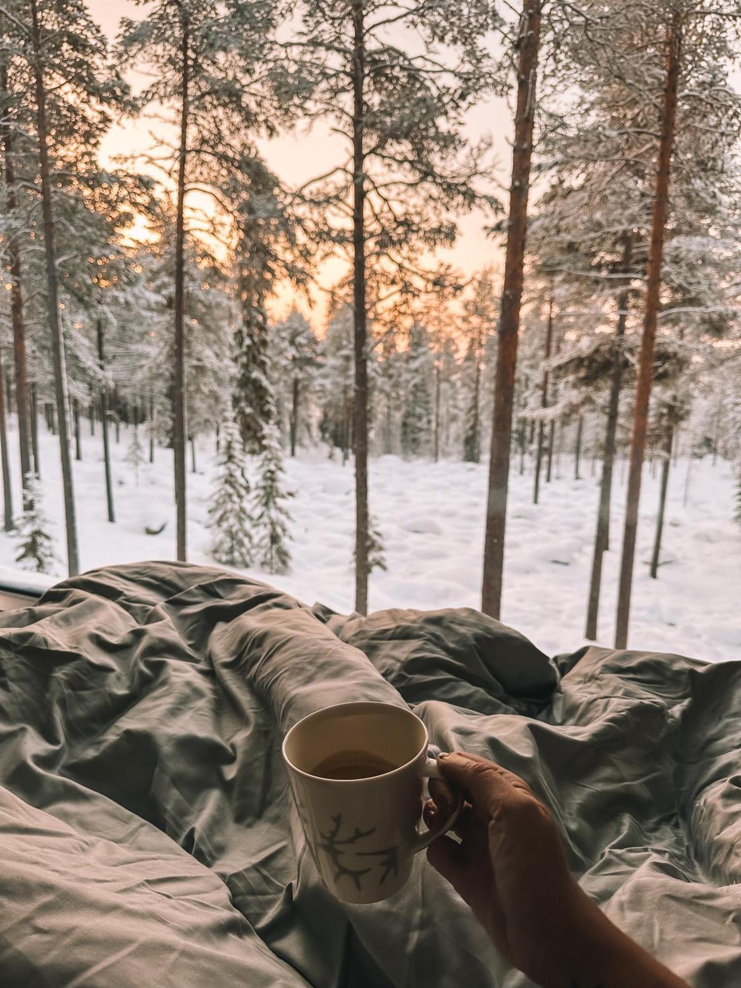 Invisible Forest With Private Sauna And Hot Tub Lodget
